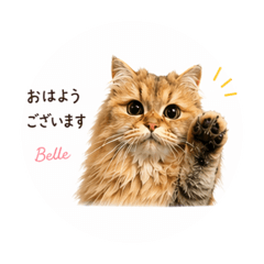 meguko_20260425110616