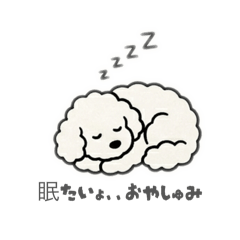 chika_20260425140102