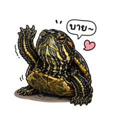 Chutikan_20260424210834