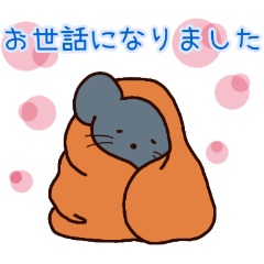 PAKAMOGOLY_20260425115250