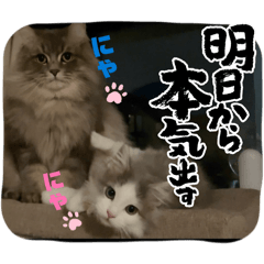 sumikan_20260425113133