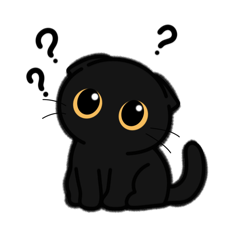 Miku the Little Black Cat