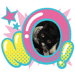 sarida_20260424220925