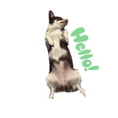 Timmy_20260424231849