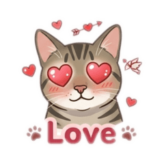 小喵的日常喵星語