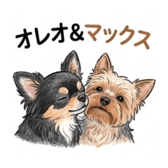 Earl Grey_20260420133522