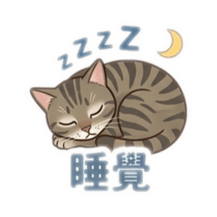 小喵的日常喵星語2