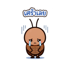 Rangsima_20260424221857