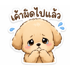 pinpin_20260424222115