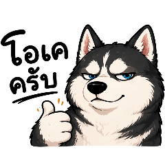 beemkab_20260424221832