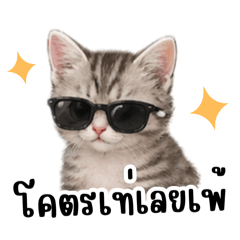 Supansa_20260424224844