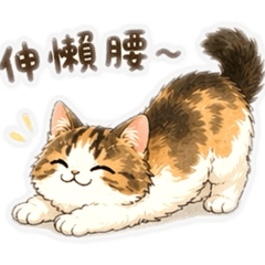 摩卡 （挪威森林貓）