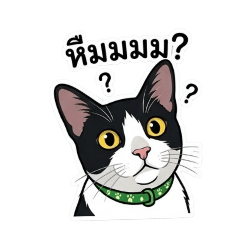 kuay jing & kuay jab_20260425001728