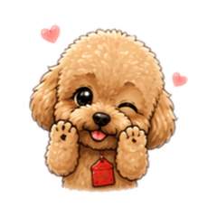 萌寵集合-紅貴賓-可愛日常