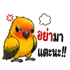 Boss771223_20260424235022