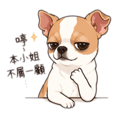 超萌吉娃娃小饅頭  不想上班