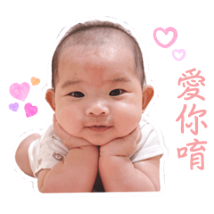 搗拎の日常用語