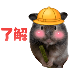 kahokaho_20260420150935