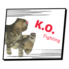 S.SASI_20260425013917