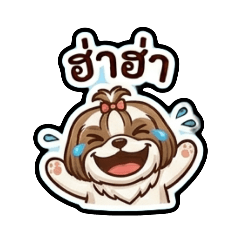 Nunum044_20260425015411