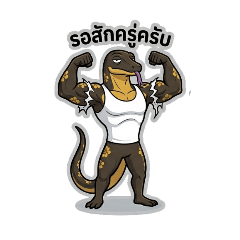 Jacksleep_20260425020157