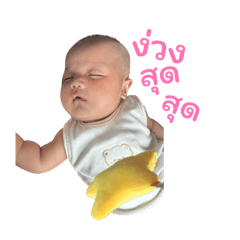 BaiFern_20260425024305