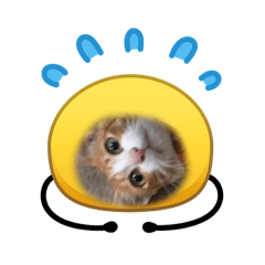 Patitta_20260425025037