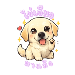 Pitcha_20260425042604