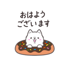 Cute puppies and sweets