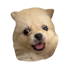 ChiCha_20260425093451