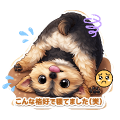 tentenko_20260420155252