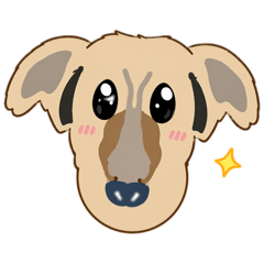 Kantong_20260425084631