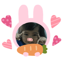 maple_20260425112307