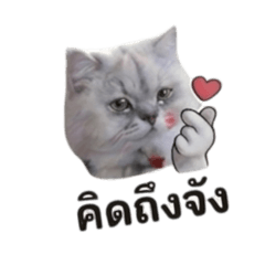 Nu_Oil_20260425114056