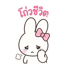 fhasai_20260425121315