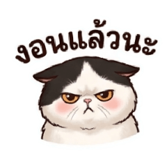 Boss771223_20260425120947