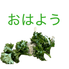 shiitake_20260425124154