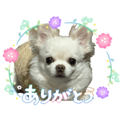 kouchan_20260425123836