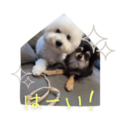mukumaro_20260425124621