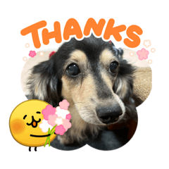 Leomari_20260425124521