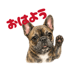 AZOBA_20260425132643