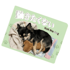 katsuya_20260420175928