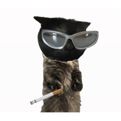 Ayaka_20260420170241