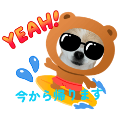 ponta_20260425133109