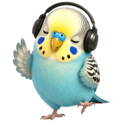 English Budgie Tuatung (No text)