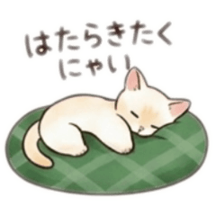 AKI2GO_20260425132616