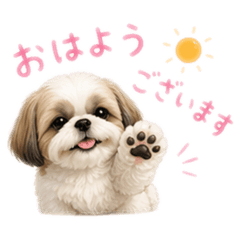 okaki_20260425132927