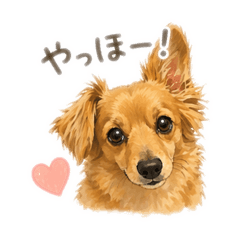 riririron_20260425133912