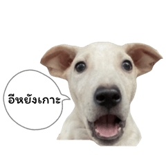 Khun Ramruay, a true woman from Isaan.