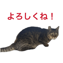 inasakuchan_20260420174015